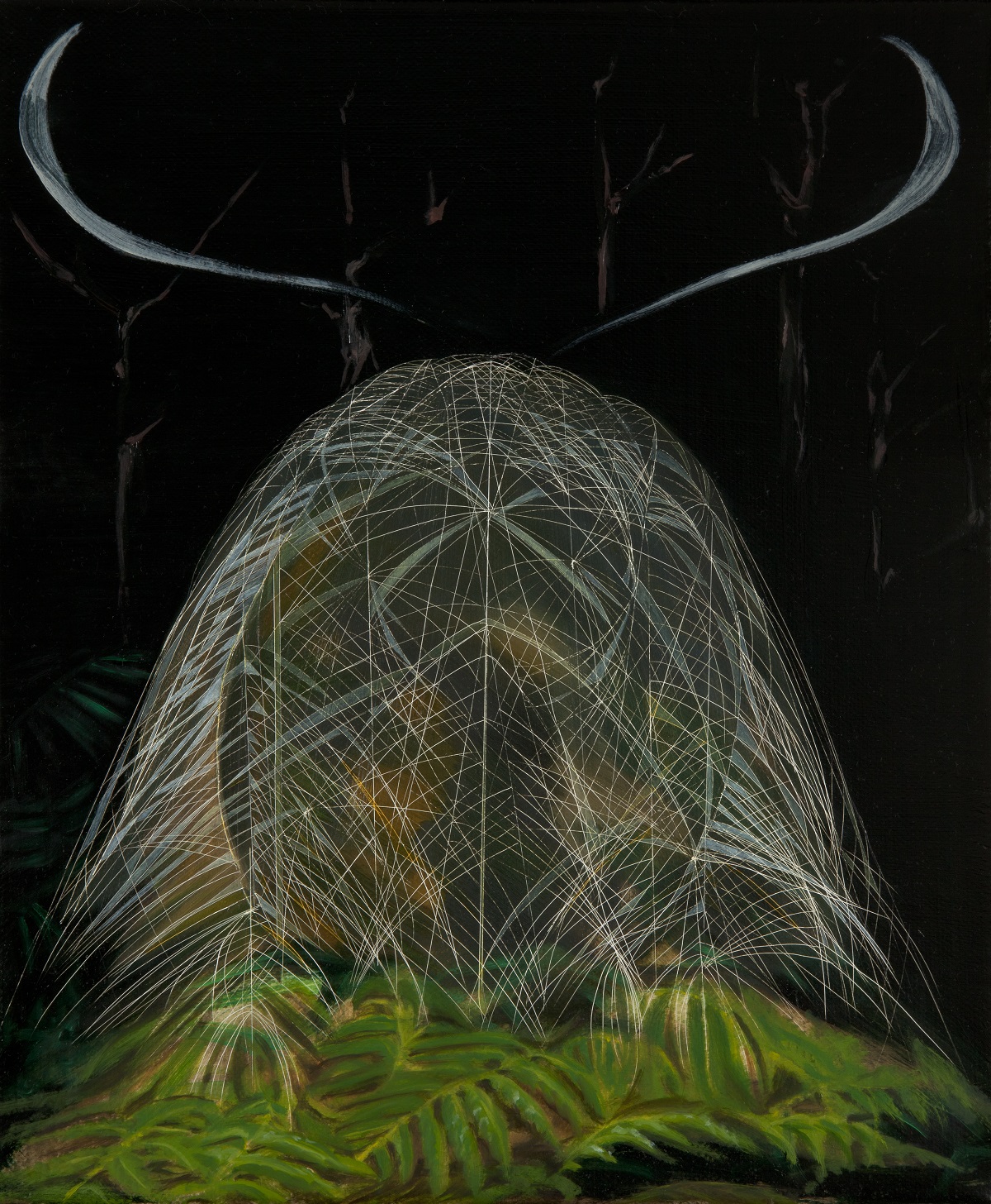 Menura novaehollandiae, New Holland harp, oil on canvas, 30 x 25cm, 2013