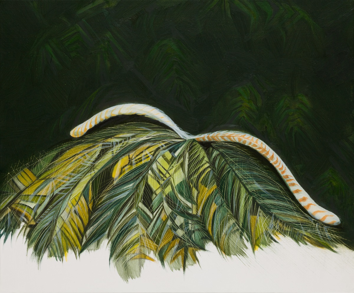 Menura novaehollandiae, New Holland moon tail, oil on canvas, 25 x 30cm