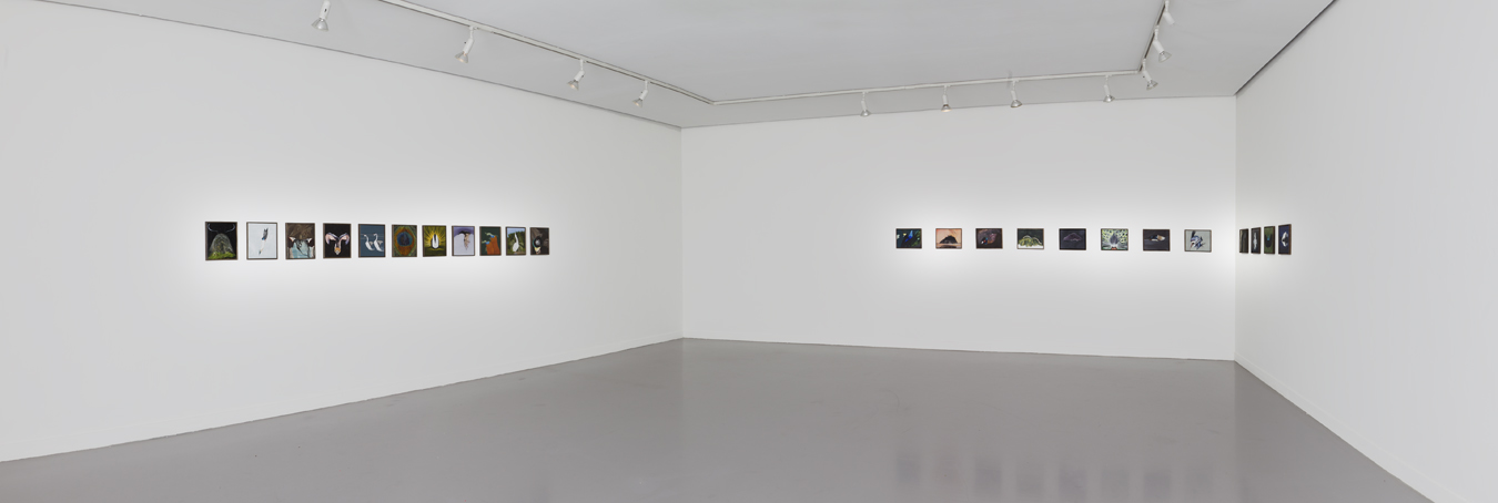 Rara Avis exhibition, Ashford Gallery, RHA, Dublin, 2013