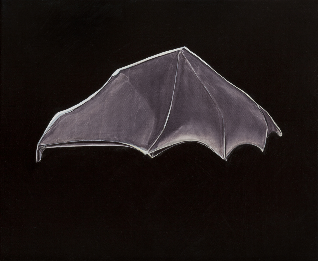 Chiroptera umbraculum, Brolly bat, oil on canvas, 25 x 30cm, 2013