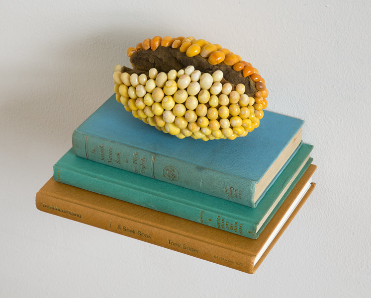 Golden Float, net float, gold inca snail shells, books, 2019